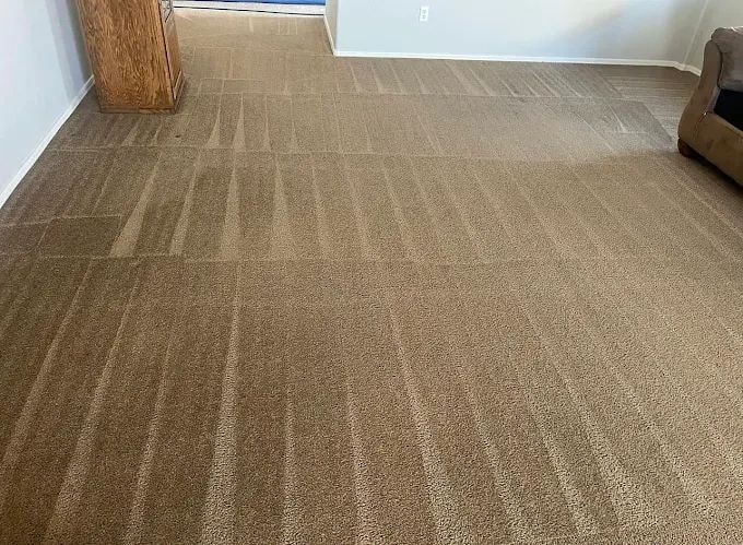 Carpet cleaning service
